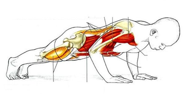 push-ups για απώλεια βάρους